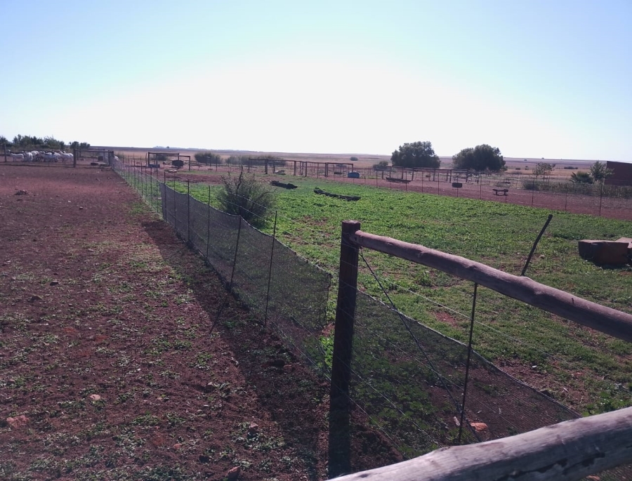 3 Bedroom Property for Sale in Bainsvlei Free State